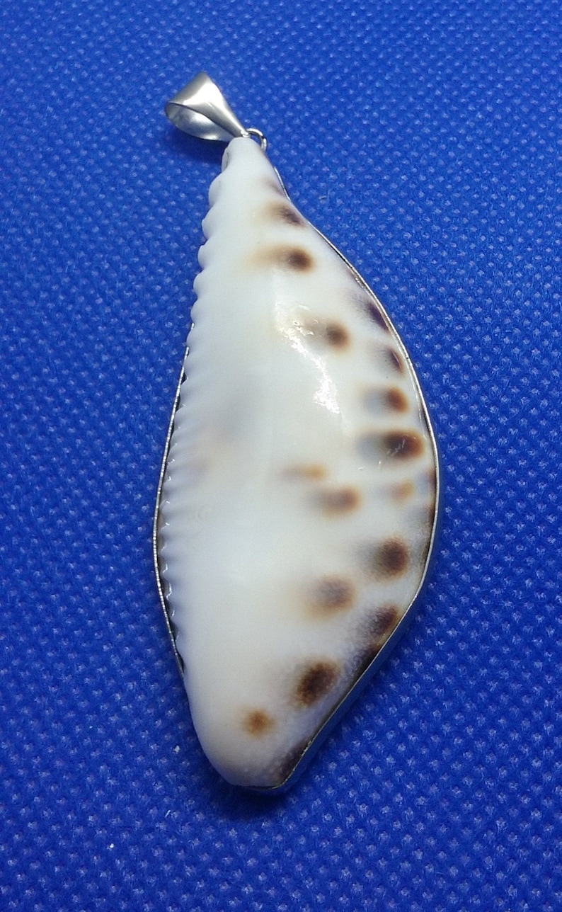 Natural Cowrie Sea Shell 18k White Gold Pendant Beach Jewelry