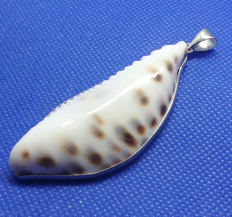 Natural Cowrie Sea Shell 18k White Gold Pendant Beach Jewelry