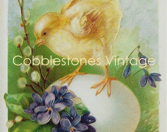 Easter Postcard Digital Download Chick Violets Pussy Willow Antique Image Illustration Victorian Joyous Easter Vintage Instant Download