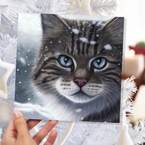Belle carte de Noël chat tigré gris yeux bleus regardant la neige tomber scène d'hiver tranquille cartes de voeux pour la famille amis Noël 2025