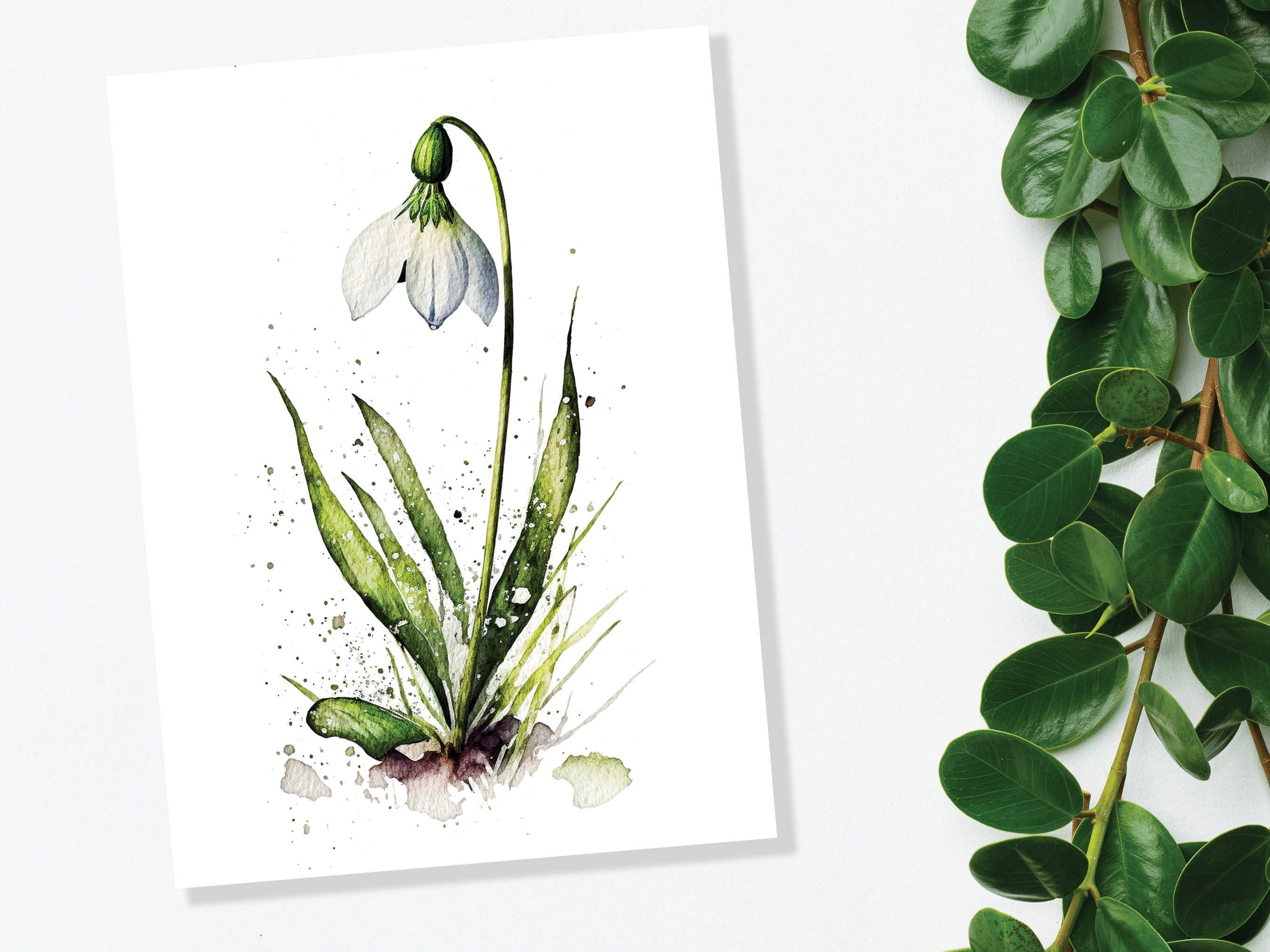 Watercolour Snowdrop Card Imbolc New Beginning Sympathy Greeting Cards ...