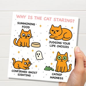 Pourquoi le chat vous regarde-t-il ? Carte d'anniversaire drôle de chat | Folie de l'herbe aux chats, évaluer vos choix de vie | Crazy Cat Lady Maman Papa Humour