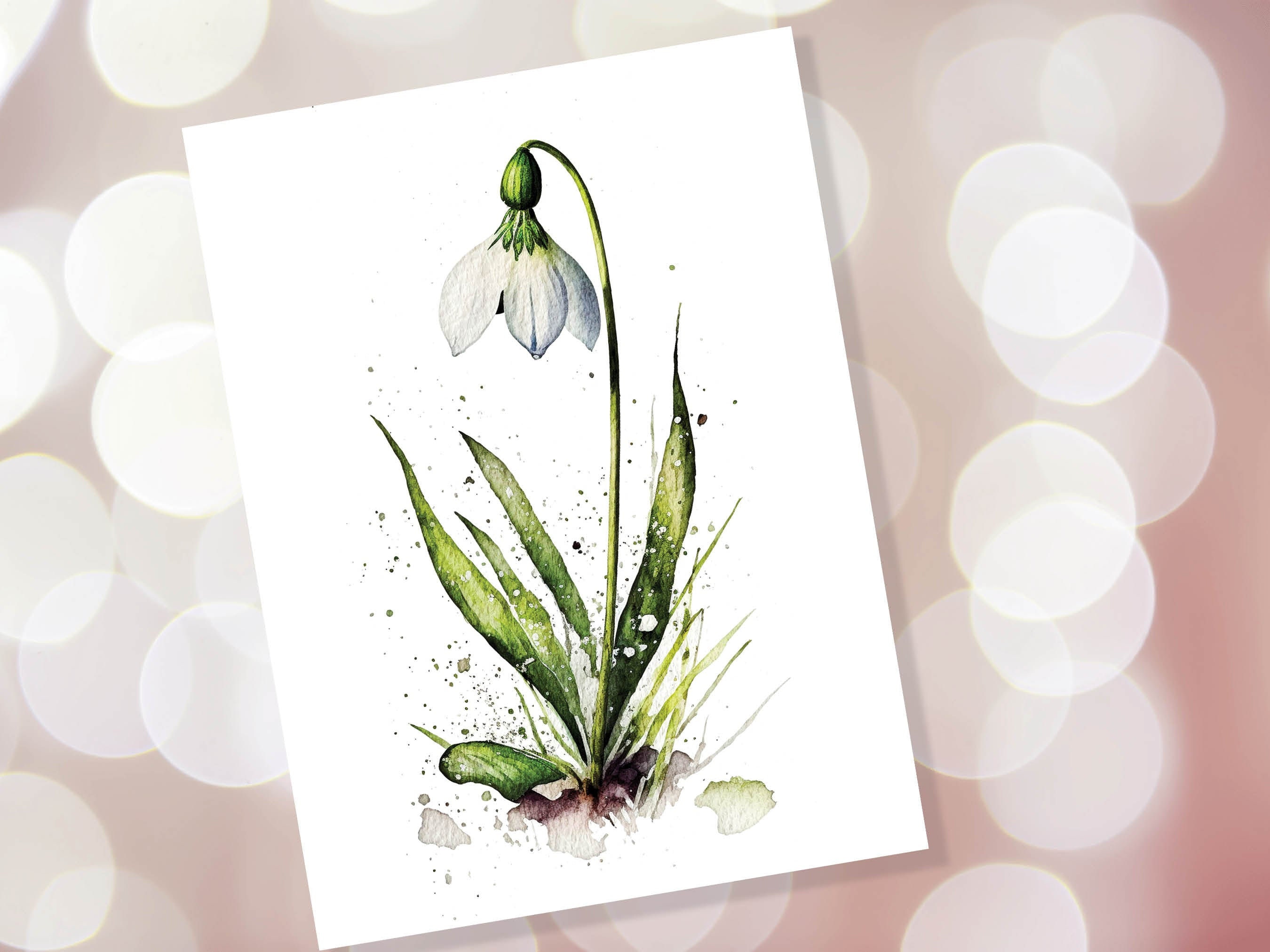 Watercolour Snowdrop Card Imbolc New Beginning Sympathy Greeting Cards ...