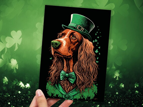 Irish Setter Bathing Suit Irish Setter Bathing Suit