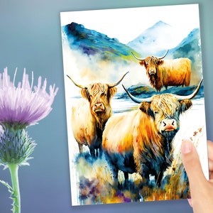 Puede incluir: Tres vacas Highland de pie en un campo con una cordillera de montañas en el fondo. Las vacas son marrones y blancas con pelo largo y peludo. El cielo es azul y hay nubes en el cielo.