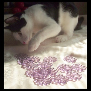 May include: A black and white cat interacting with several translucent, lavender-colored, flower-shaped decorative pieces. The cat is focused on the objects, with its paw extended towards them. The objects are arranged on a white, textured surface.
