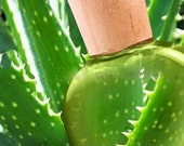 ALOE VERA Gel-100 Pure Organic -The BEST Post-Microdermabrasion Moisturizer- Acne Eczema Psoriasis Blemishes -AntiAging