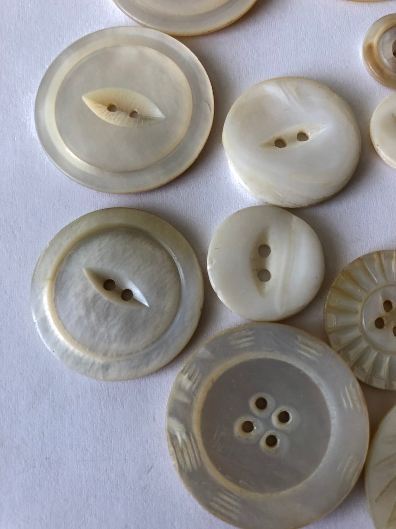 Buttons Sea Shell Large Medium Small ,seashell, Vintage Buttons, Large ...