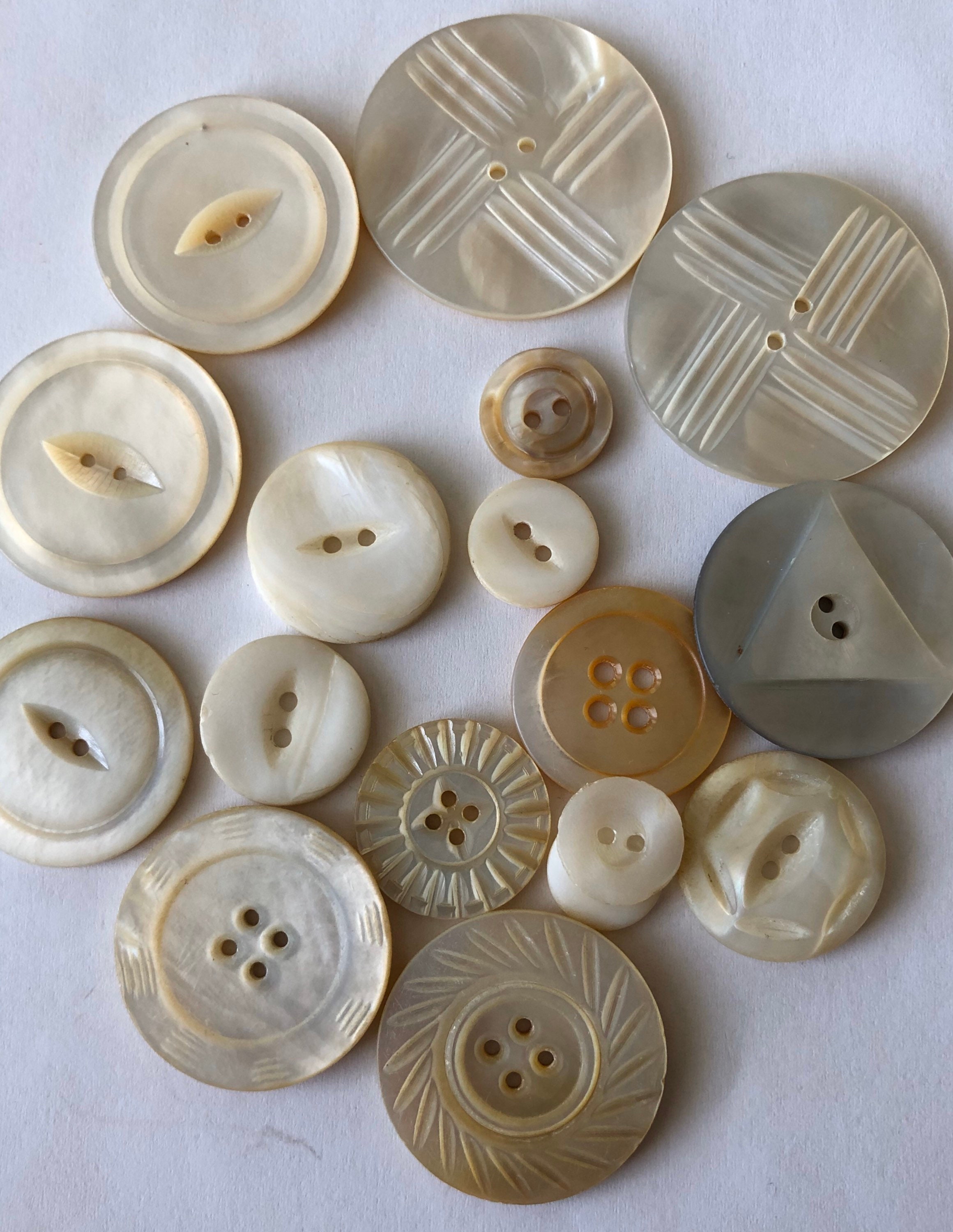 Buttons Sea Shell Large Medium Small ,seashell, Vintage Buttons, Large ...