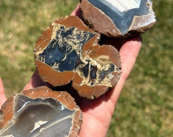 Polychrome Jasper, Picture Geode- Blessed