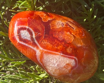 Carnelian, Large Tumble, 3.5x2.25 inches, 8.7 oz, One (1) piece - Blessed