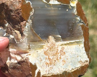 Polychrome Jasper, Picture Geode, Large - Blessed