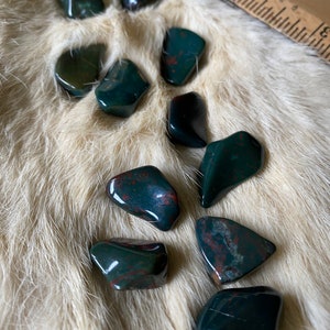 Bloodstone, Tumbled, Small Blessed image 1