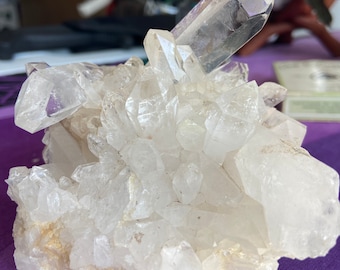 Clear Quartz Point Cluster - Hoogwaardig Pronkstuk - Gezegend