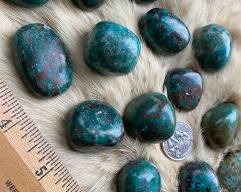 Chrysocolla, Getrommeld, Medium, A + - Gezegend Een (1) Stuk