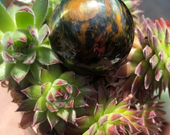 Occhio di tigre, sfera 1,5 pollici - Benedetto