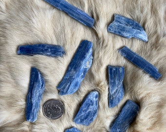 Blue Kyanite, Medium Raw - Blessed   One (1) Piece- Blessed