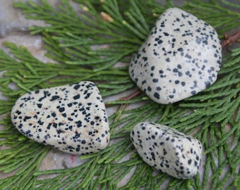Dalmation Stone - Blessed