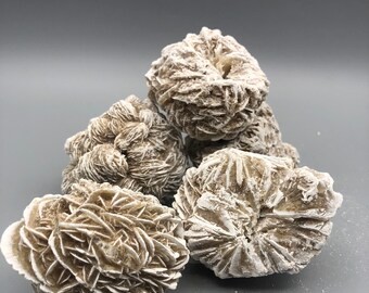 Desert Rose Selenite, Groot - Gezegend