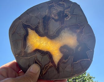 Septarian Slice, Cut & Polished, One (1) Piece - Blessed
