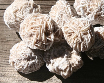 Desert Rose Selenite - Blessed