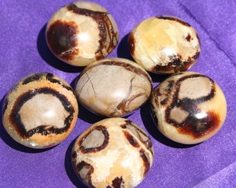 Septarian (tumbled rounds) - Blessed