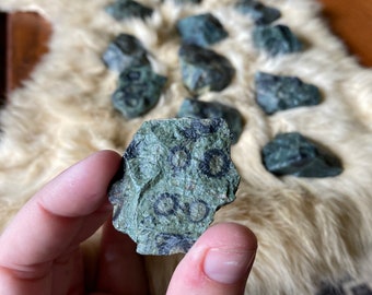 Kambaba Jasper, Medium, Raw, Chunk - Blessed   One (1) Piece