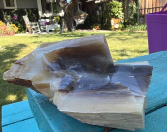 Pacific Northwest Petrified Wood filled with Calcite - Show Piece - One(1) Blessed