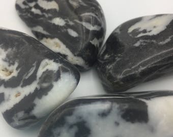 Zebra Jasper, Tuimeld - Gezegend