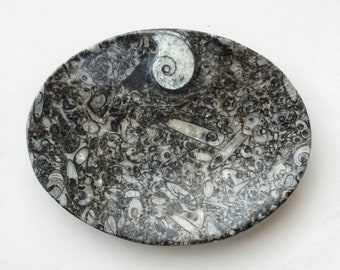 Ammonite Fossil Dish | Unique Gift | Ammonites | Sigrid Anne Design