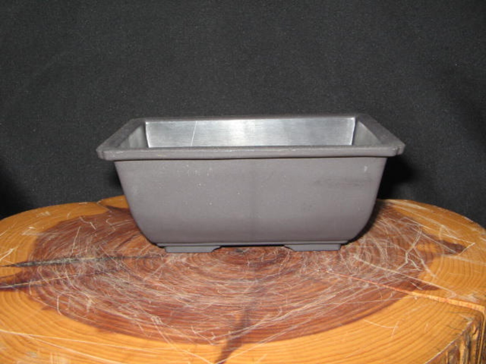 Bonsai Training Pot Bonsai Tray for Bonsai Plastic Bonsai Etsy