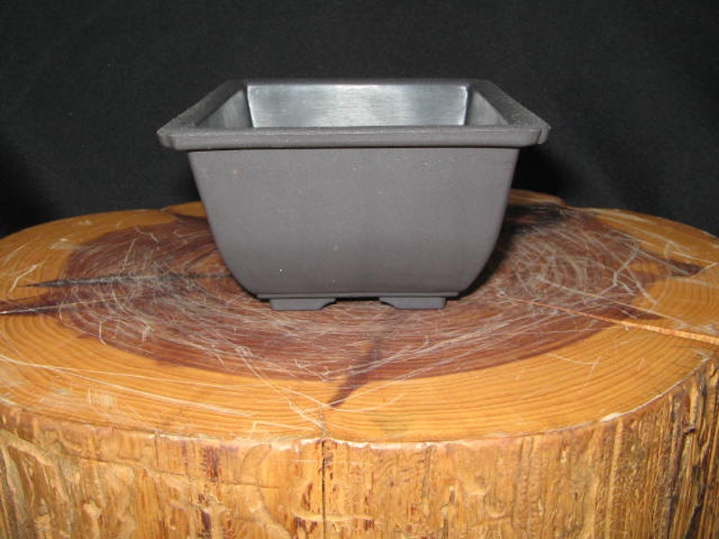 Bonsai Training Pot Bonsai Tray for Bonsai Plastic Bonsai Etsy