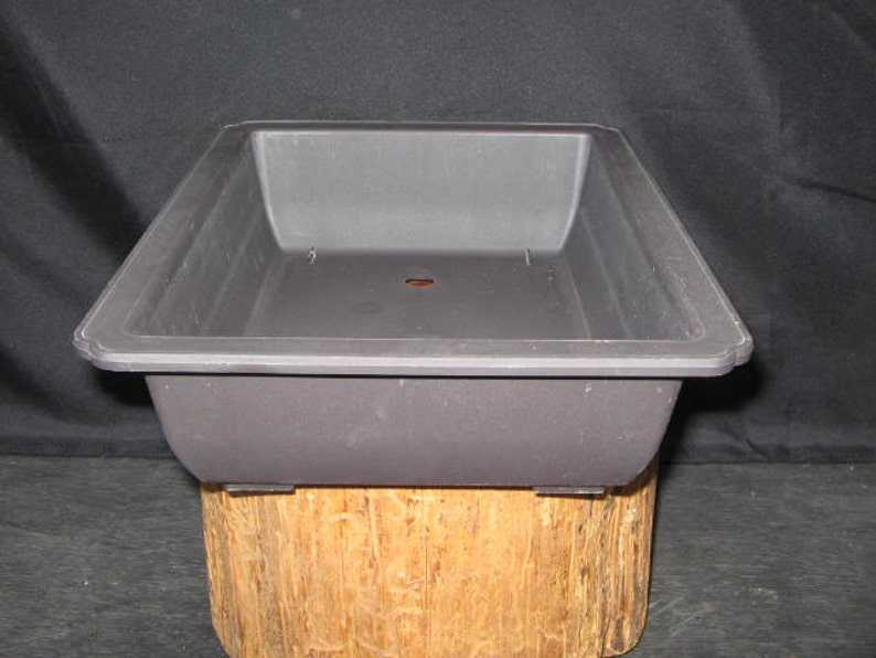 Bonsai Training Pot Bonsai Tray for Bonsai Plastic Bonsai Etsy