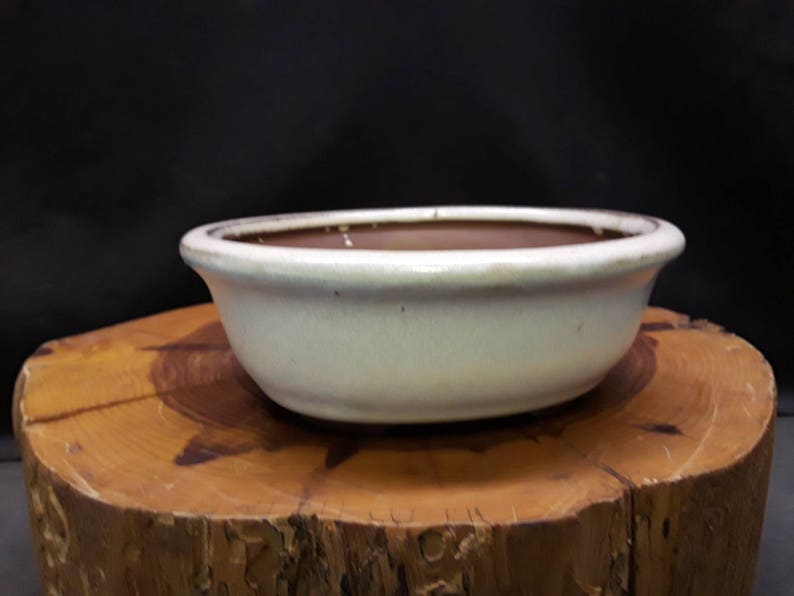Bonsai Pot Bonsai Tray for Bonsai Glazed Bonsai Dish Etsy