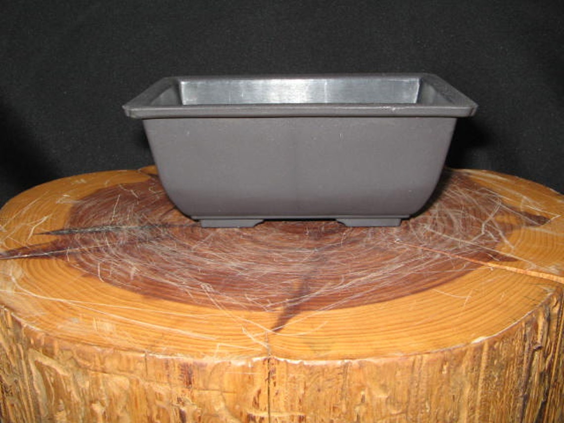 Bonsai Training Pot Bonsai Tray for Bonsai Plastic Bonsai Etsy