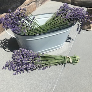 1 Dried Lavender Bouquet, 50 stems: Lavender Bundle, Bunch, for Wedding and Home Decor