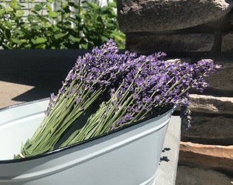 1 Dried Lavender Bouquet, 50 stems: Lavender Bundle, Bunch, for Wedding and Home Decor