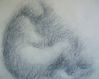 FUZZY PENCIL - Woman Sitting, pencil drawing, very delicate, copy on acid free paper, Different than Fuzzy Sleeper By Dorothy  Messenger