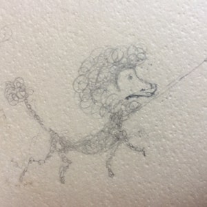 Prancing Poodle; zwycięski pudel, prosty szkic na bezkwasowym papierze w formacie 8,5 x 11 cali w kolorze złamanej bieli, zwinięty w tubę, BEZPŁATNA wysyłka w USA.