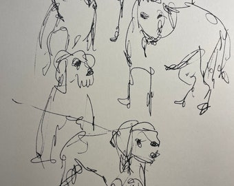 Group of Dogs in Ink, ca. 1980, by Dorothy Messenger, ink sketch on 8.5 x 11" off white paper, rolled in tube, FREE shipping in USA.