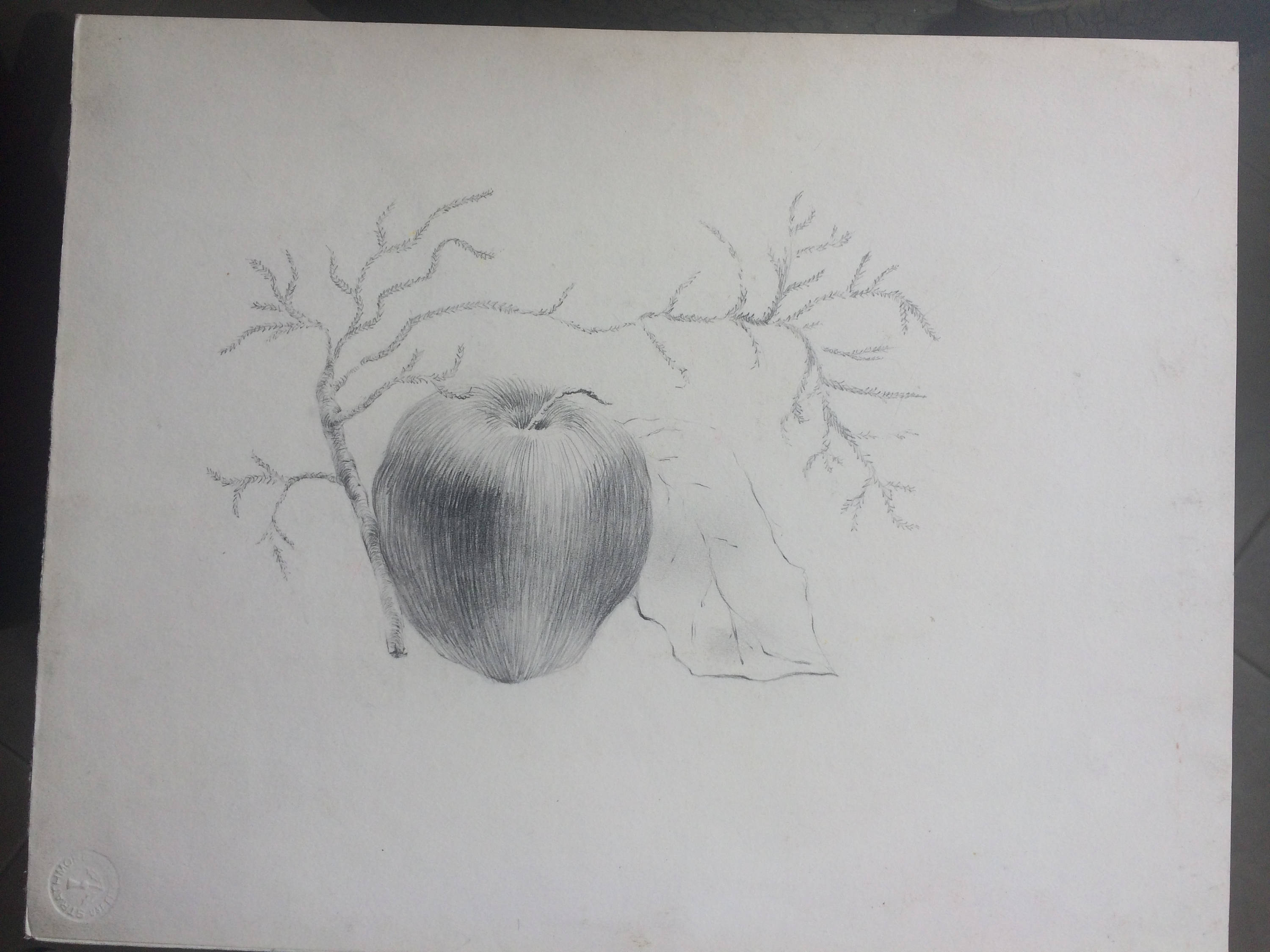 絵画 Apple flk042118 絵画 Apple flk042118 絵画 Apple flk042118 絵画 Apple