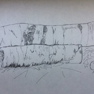 Kłody ogniskowe z Minnesoty, lata 70. XX w., rysunek D. Messengera, kopia tuszu na papierze. 8,5 x 11"