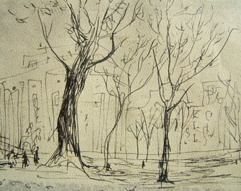 Trees in fall - pencil drawing by Dorothy Messenger - &quot;Trees&quot;  -  at Palais de Chaillot in 1949   - A copy, in Paris.