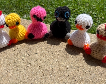 Emotional Support Birds