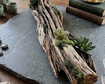 Rustic Cedar Log Centerpiece, Cottagecore, Handcrafted Succulent & Moss Display, Natural Table Decor, Homeware
