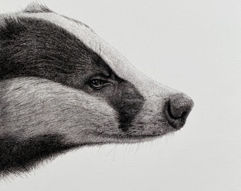 Dachs Druck - Limitierte Giclée Fine Line Zeichnung