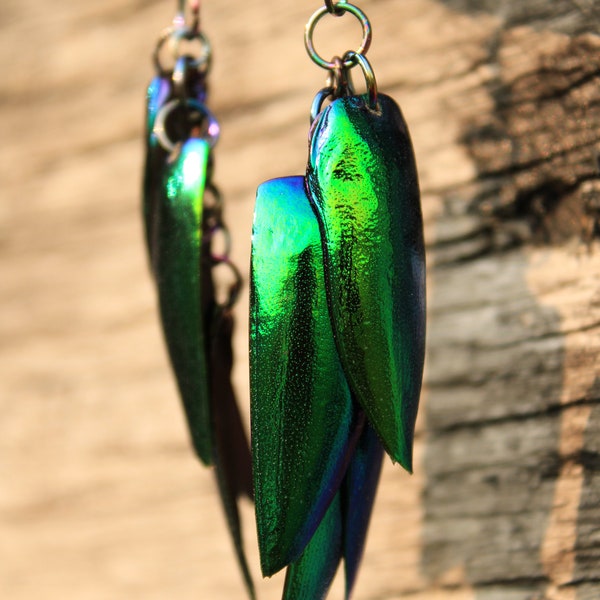 Beetle Wing Earrings