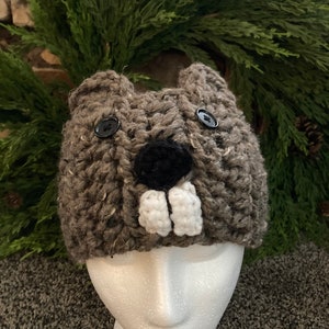Groundhog Headband/Punxsutawney Phil Headband/Beaver Headband/Youth/Adult Size with Pom Pom image 1