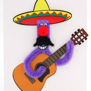 Gitarrist aus Mexiko