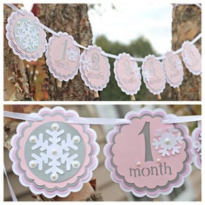May include: A pink, gray, and white banner with scalloped edges, strung on a white ribbon. Each banner piece displays a number and the word "month", with snowflake and pearl accents. The banner is designed for a baby's monthly milestone.